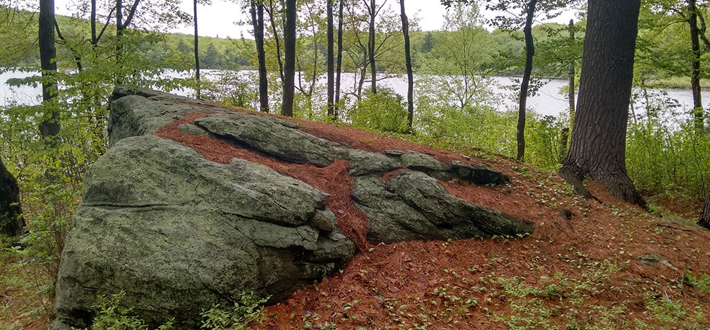 A rock outcropping by the shore of Rocky Pond