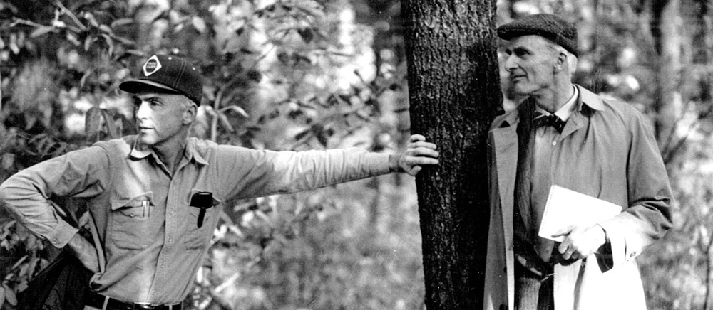 75th Anniversary Archives - New England Forestry Foundation New England ...