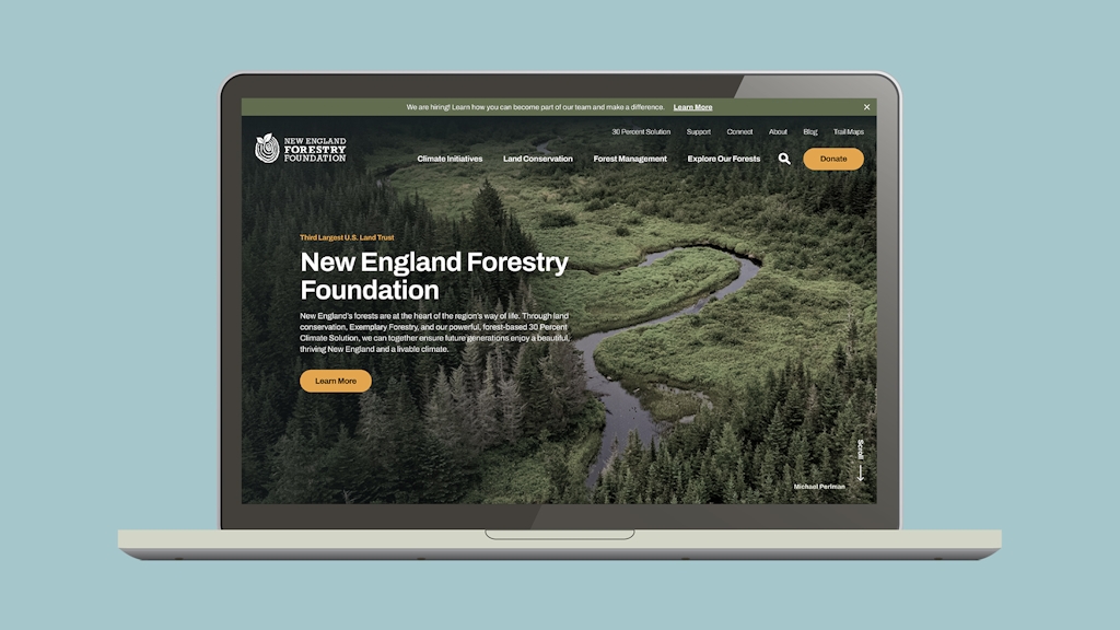 New England Forestry Foundation